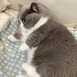 yenle.hai94