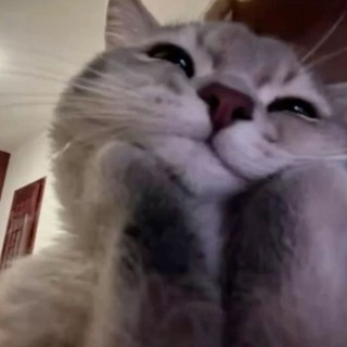 thepinkpanther
