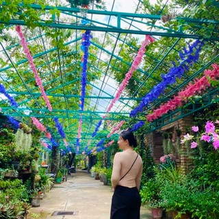 tainguyen8819