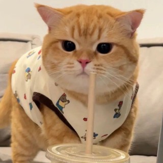 embevanh