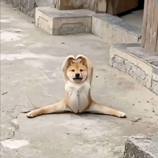 nhuquynhmummin