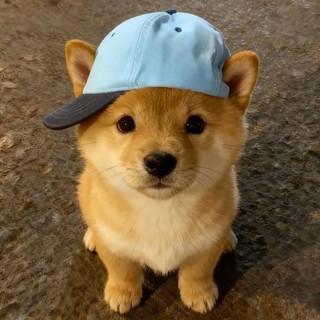 mostflyasian
