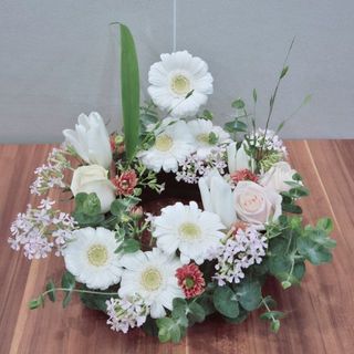 thuy12121212