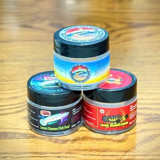 Cá lóc nữ hoàng - Giá Tốt, Sale Tháng 10, Ship 0 Đồng | Shopee Việt Nam