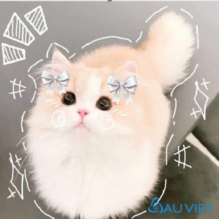 lnhunqq_hnnie210