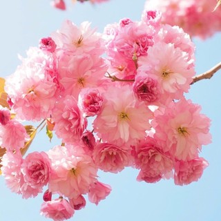 94._ngocthanh