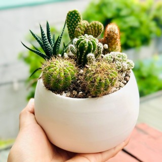 minhhuonghandmade