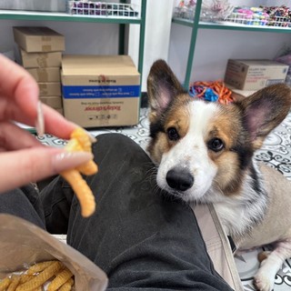 cookiespetshop