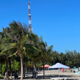 aiphuong0511