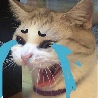 nolomo_8
