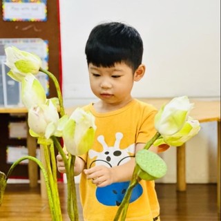 thuyngapepy