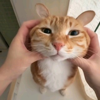 iuleeinwoo
