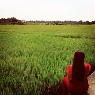 vo.thy