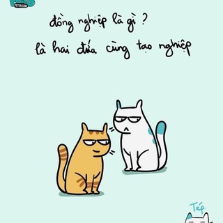 fv5w314kku
