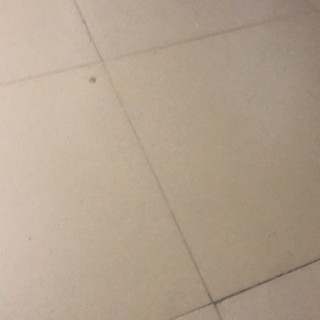 liennguyen_678