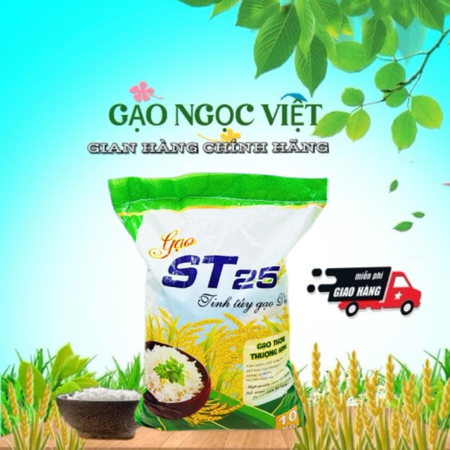 GẠO NGỌC VIỆT - NGOCVIET RICE