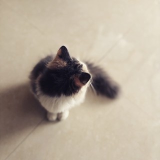 taehuyng30_12_1995