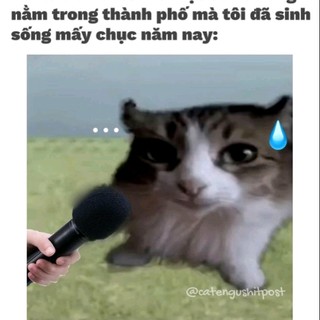 baoshoppe511