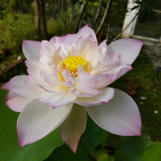 nhiennhien1128