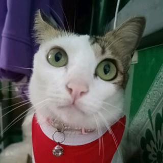 fhkbbj6ay2
