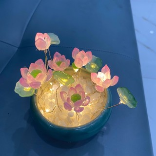 ngo_ly95