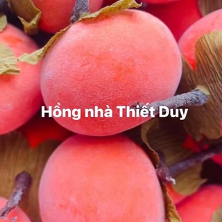 viettrang00