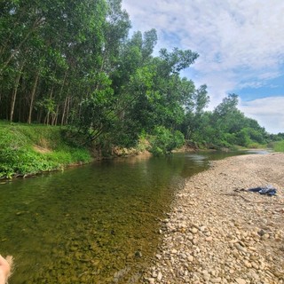huy101094