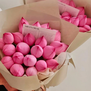 mydiep95