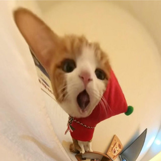 mrcvs_d1vk