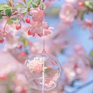 hoaoaihuong26013799