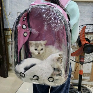 loan_ntbg