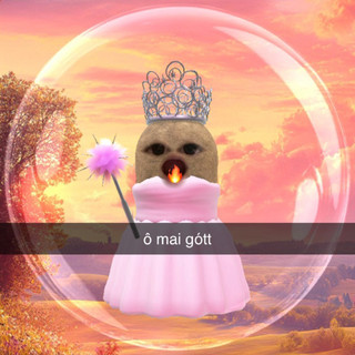 hoaian_735