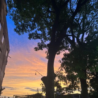 giaoquynh183