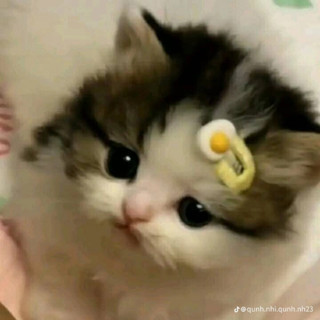 nhungdngthcm903