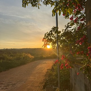 tranngocnhadi