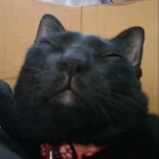 cybeze1ofm