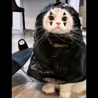 ha_thao_nguyen.193