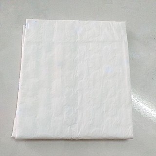 Tấm Lót Y Tế MOHA, Tấm Lót Trải Giường Dành Cho Người Già, Người Bệnh, Phụ Nữ Sau Sinh, Bịch 10 Miếng Size 50x70cm