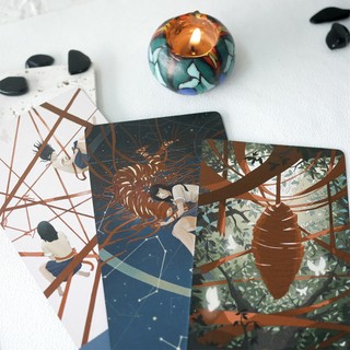 Bộ Bài Visionary Enlightenment Cards (Mystic House Tarot Shop)