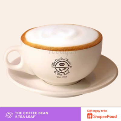 CAPPUCCINO (HOT )
