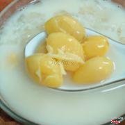 Bạch quả nước hủ ki