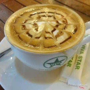 Robusta arabica
