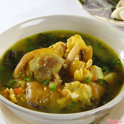 Giả cầy