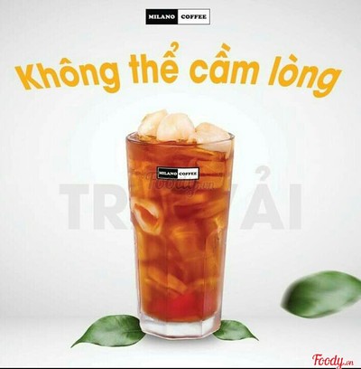 Trà Nâu Vải - Size M