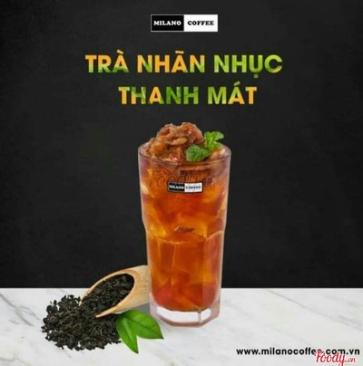 Trà Nâu /Xanh Nhãn Nhục - Size M
