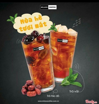 Trà Nâu/ Xanh Táo Đỏ - Size M