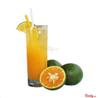 Cam  vắt ly khổng lồ