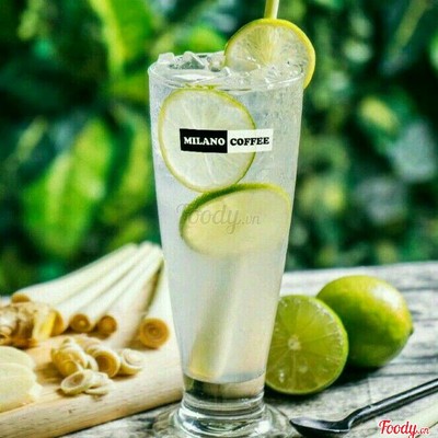 Chanh Tươi Chọn Lọc Bến Tre - Nóng