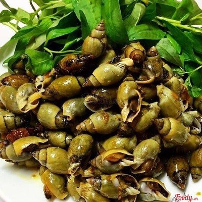 Ốc cà na bơ mặn