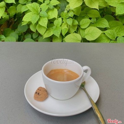 Decaffeinated (100% Arabica) Espresso
